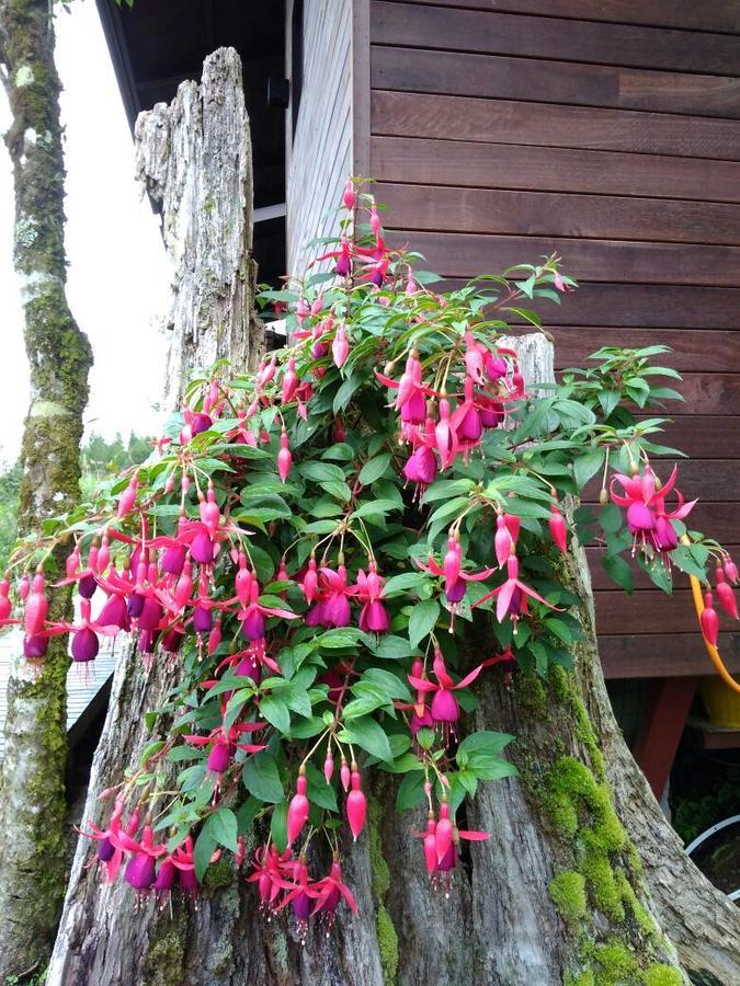 Spring Garden Kampong Kundassan Exterior foto