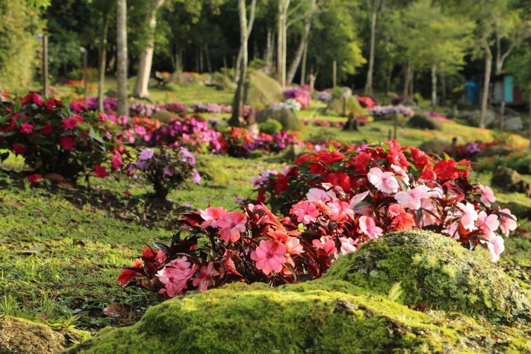 Spring Garden Kampong Kundassan Exterior foto