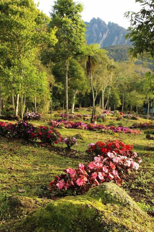 Spring Garden Kampong Kundassan Exterior foto